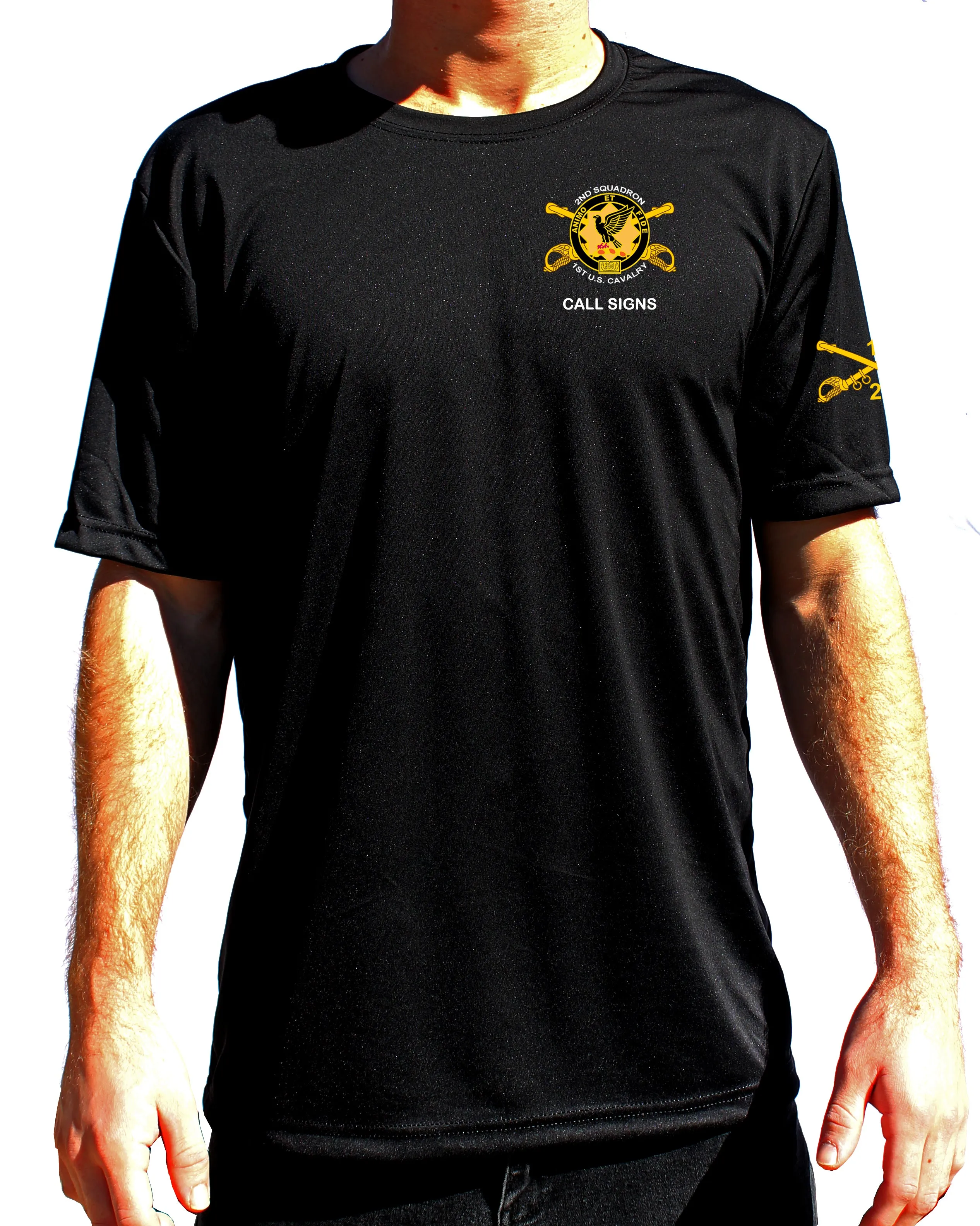 Darkhorse Athletic Performance T-Shirt. This shirt IS approved for PT