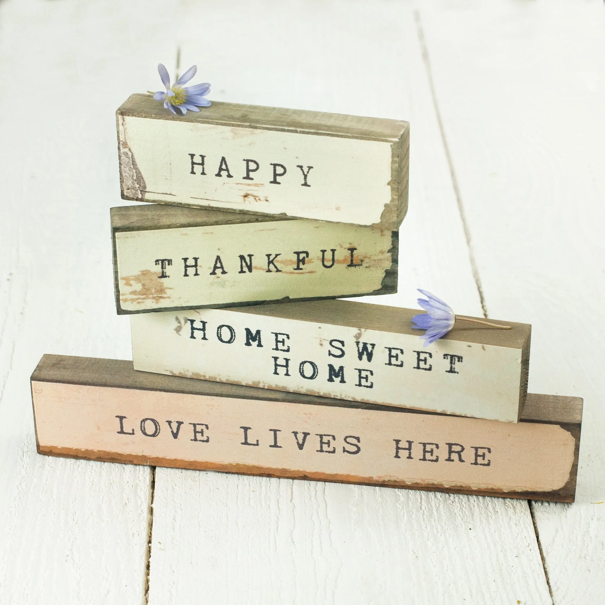 Timber Bit - Medium - Home Sweet Home