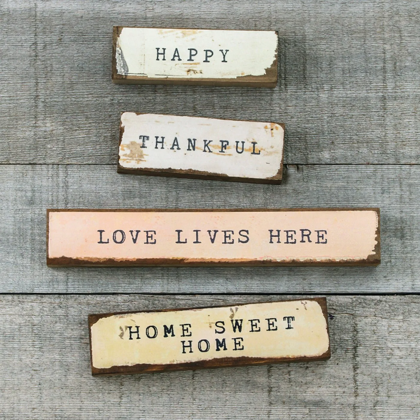 Timber Bit - Medium - Home Sweet Home