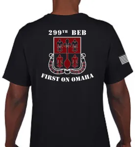 Unisex Performance (Color Design) Short Sleeve PT Shirt (Feels like Cotton). This shirt IS approved for PT.